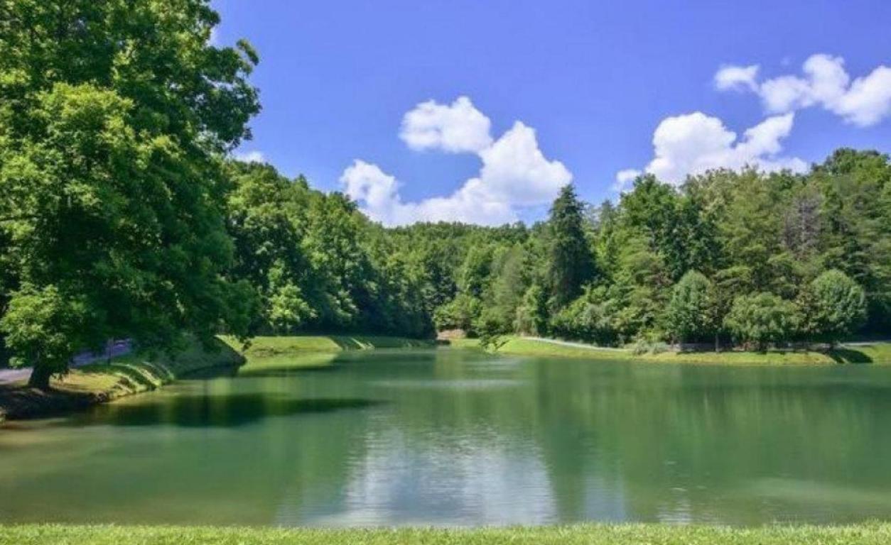 Mountain Lake Lodge, Hot Tub, Theater Room, 1089 Free Tickets Each Paid Day, Dollywood And More Сивиървил Екстериор снимка