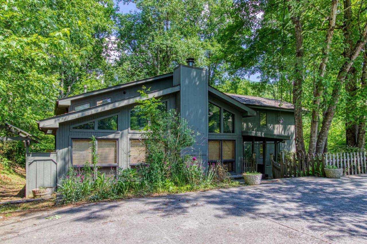 Mountain Lake Lodge, Hot Tub, Theater Room, 1089 Free Tickets Each Paid Day, Dollywood And More Сивиървил Екстериор снимка