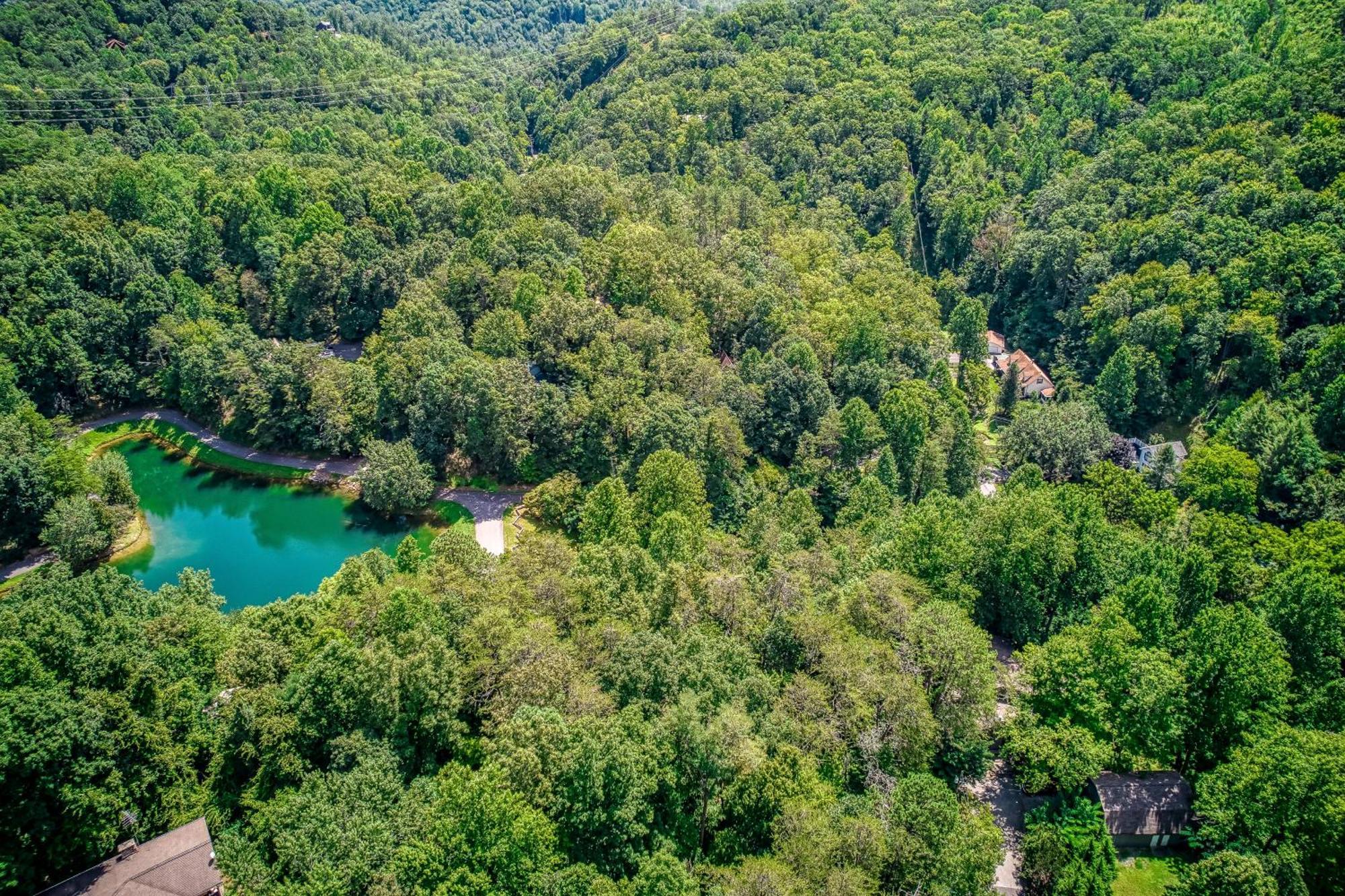 Mountain Lake Lodge, Hot Tub, Theater Room, 1089 Free Tickets Each Paid Day, Dollywood And More Сивиървил Екстериор снимка