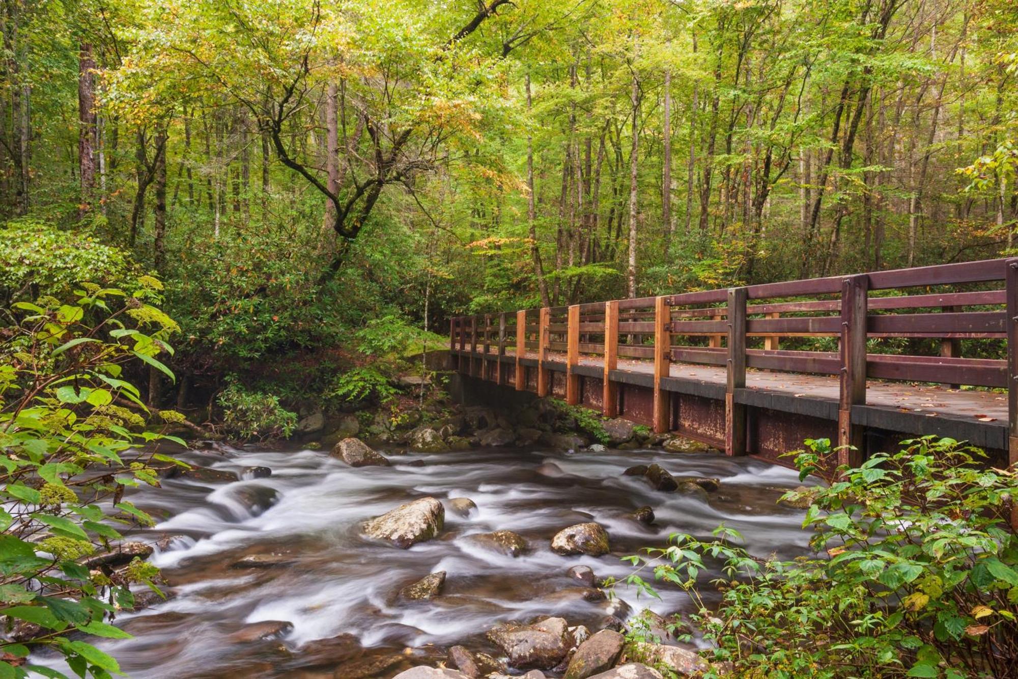 Mountain Lake Lodge, Hot Tub, Theater Room, 1089 Free Tickets Each Paid Day, Dollywood And More Сивиървил Екстериор снимка